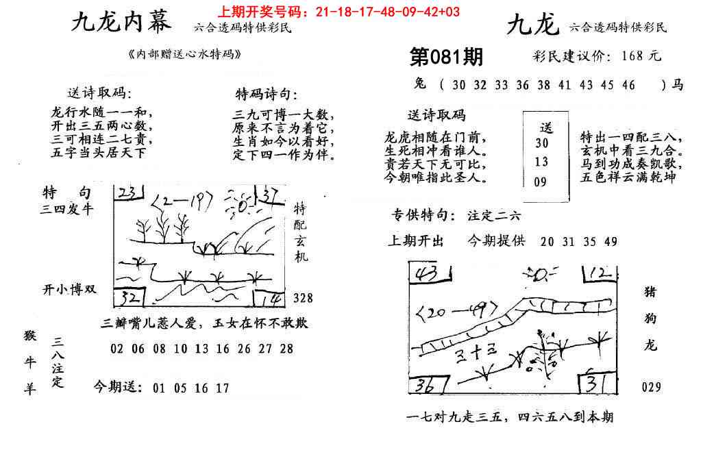 081期九龙内幕[图]